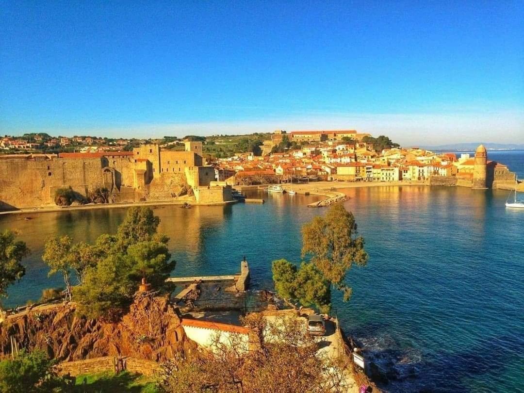 Charme A 20 M De La Plage Centre Village Collioure Exterior photo